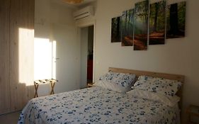 Bologna Nature Room